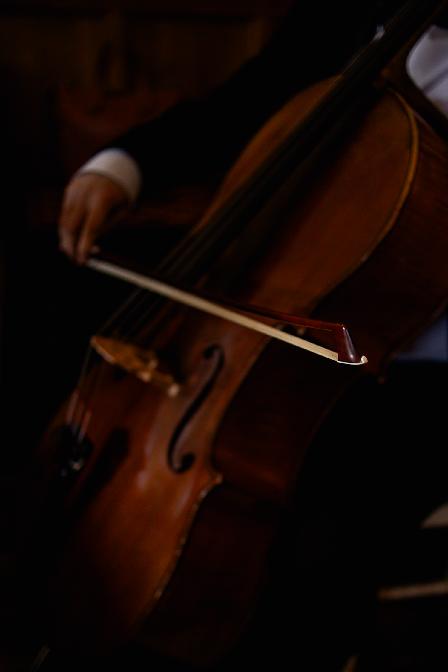 The cello 